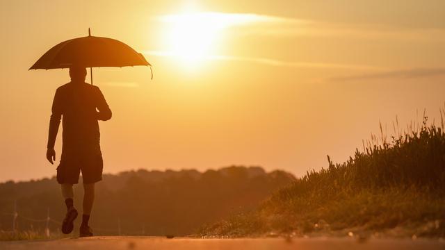Hitzewelle: Deutscher Wetterdienst meldet Temperatur-Höchstwert von 41,7 Grad
