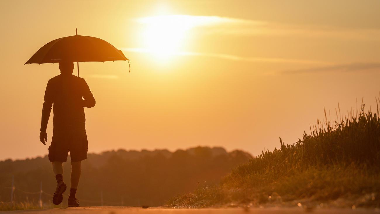 Hitzewelle: Deutscher Wetterdienst meldet Temperatur-Höchstwert von 41,7 Grad