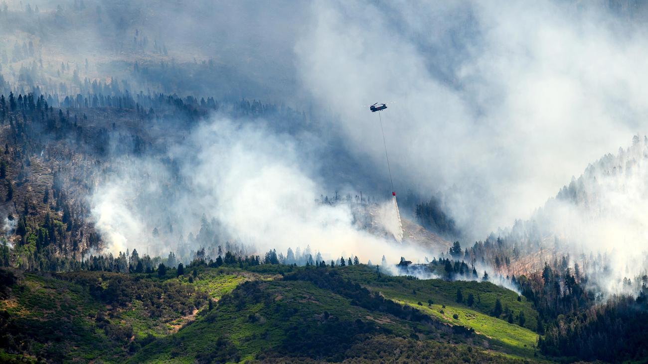 Waldbrände in den USA: Drei Feuerwehrleute sterben bei Einsatz gegen Waldbrände