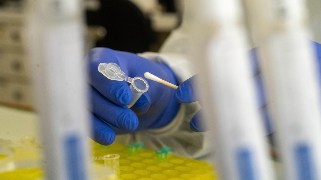 Hochhaus in Kiel: Polizei führt nach Steinwurf massenhafte DNA-Untersuchung durch