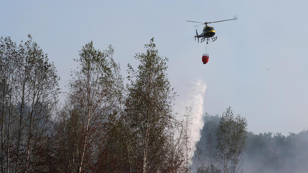 Mecklenburg-Vorpommern: Feuerwehr bekämpft Brand im Müritz-Nationalpark