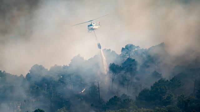 Spanien: Aufkommender Wind erschwert Kampf gegen Waldbrände westlich von Madrid