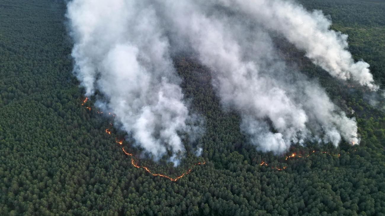 Waldbrand im Müritz-Nationalpark: Waldbrand in Müritz-Nationalpark laut Umweltminister unter Kontrolle