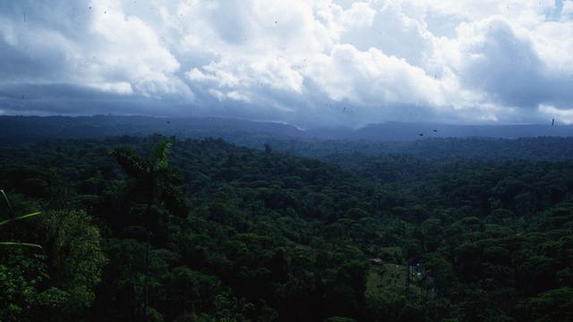 Costa Rica: Deutscher Konsul verunglückt in Costa Rica tödlich
