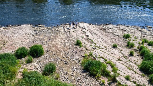 Niedrigwasserkrise: Elbe in Magdeburg verzeichnet historisch niedrigsten Wasserstand