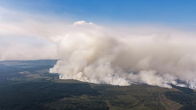 Hitze in Europa: Bundeswehr unterstützt Belgien bei Waldbrand