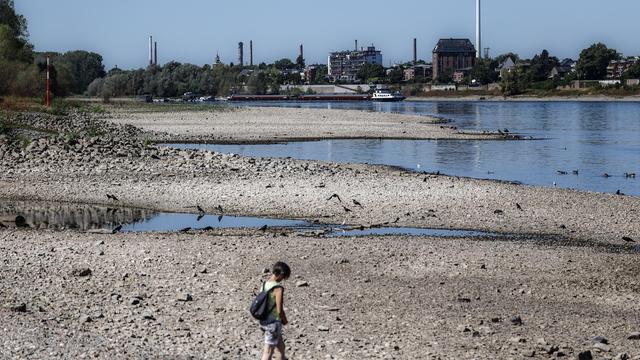 Hitze in Europa: Im Rhein bei Köln ist kaum noch Schifffahrt möglich