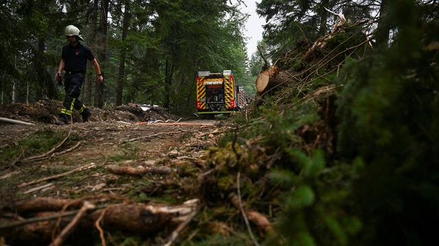 Hitze in Europa: Teile von Gemeinde östlich von Bonn wegen Waldbrand evakuiert