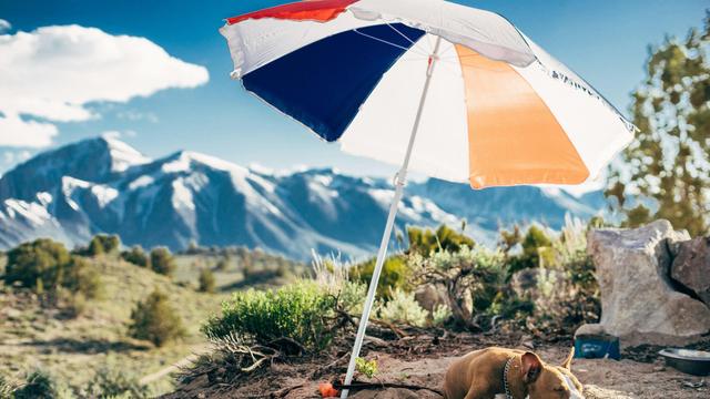 Extremwetter: Wetterdienst warnt in nahezu ganz Deutschland vor Hitze