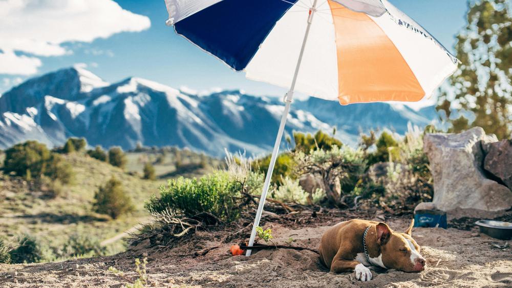 Hitzewarnung Deutscher Wetterdienst DWD Karte Wärmebelastung