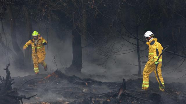 Waldbrände: Feuerwehr erwartet starke Winde bei Bränden im Hohen Venn