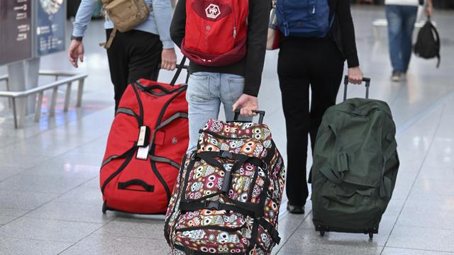 Gelber Mittelmeerskorpion: Frau am Düsseldorfer Flughafen von giftigem Skorpion gestochen