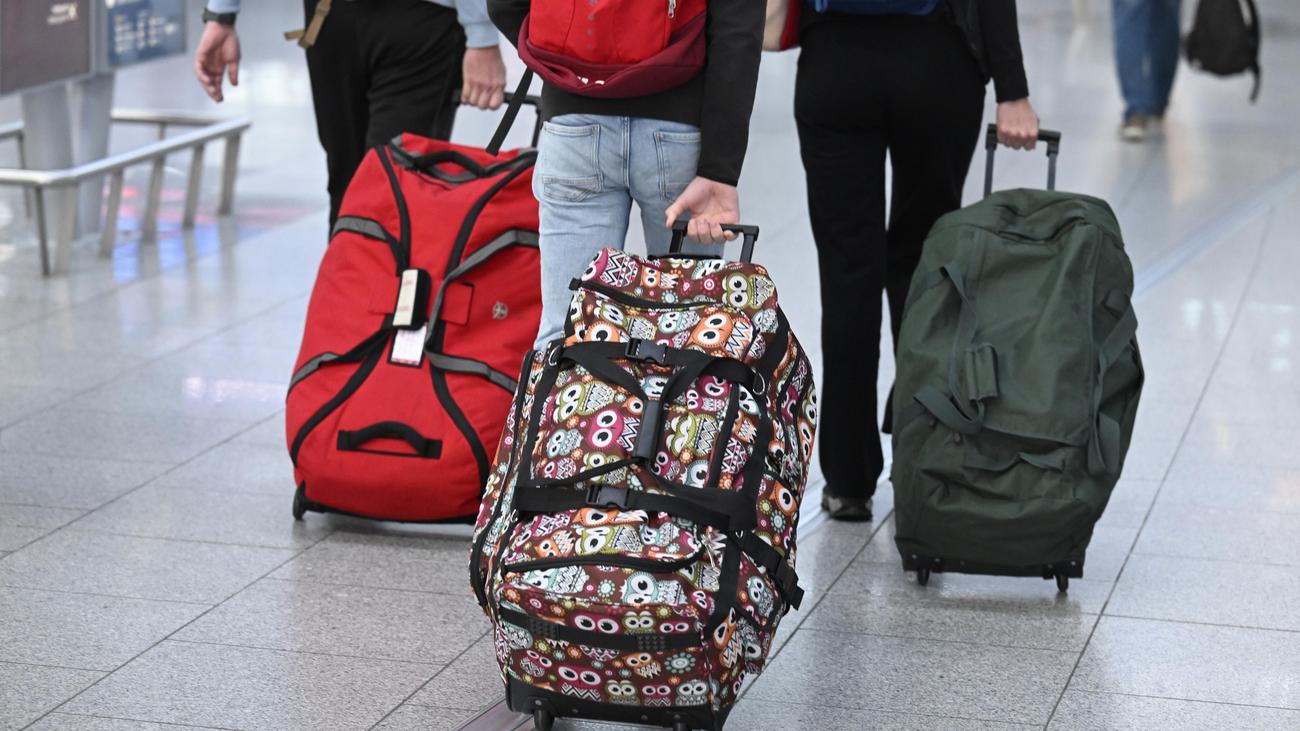 Gelber Mittelmeerskorpion: Frau am Düsseldorfer Flughafen von giftigem Skorpion gestochen