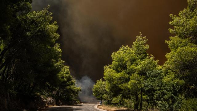 Waldbrände in Europa: Waldbrände zerstören 100 Häuser in Griechenland