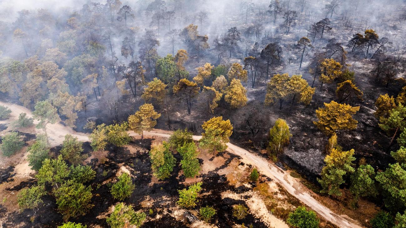 Große Waldbrände: Brände in Griechenland und den Niederlanden sind unter Kontrolle
