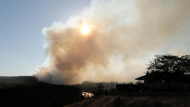 Feuer in den USA: Evakuierungen und Stromausfälle nach Waldbränden in Washington