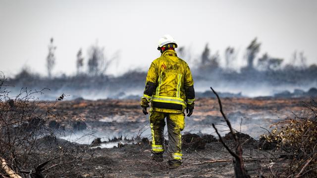 Hitze in Europa: Feuerwehr schützt deutsches Gebiet mit Schneisen vor Hohe-Venn-Brand