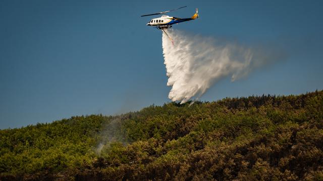 Waldbrand auf Limnos: Waldbrände in Griechenland und Spanien treiben Hunderte in die Flucht