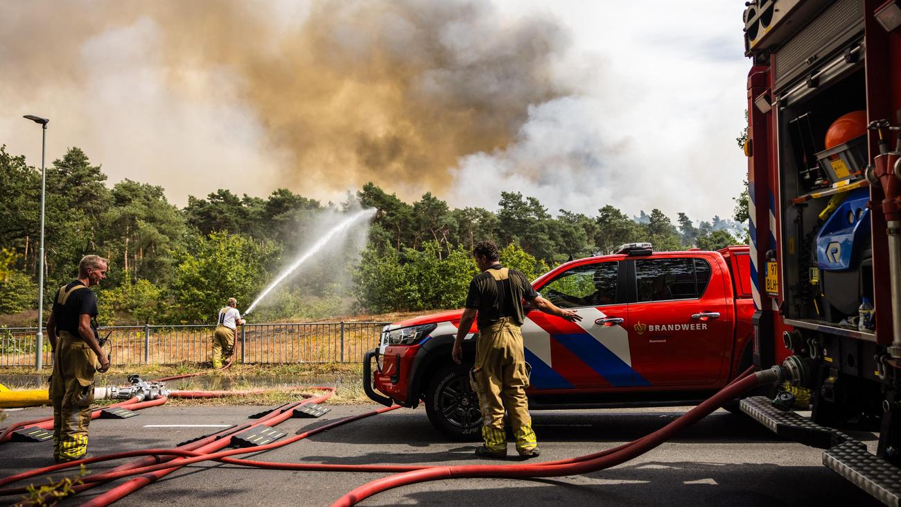 Waldbrand in den Niederlanden: Großbrand in niederländischem Waldgebiet nahe deutscher Grenze