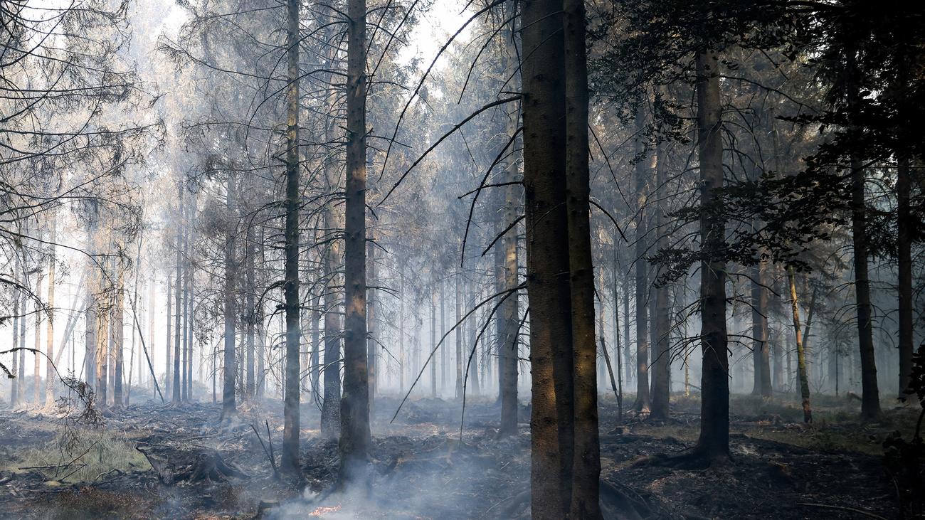 Waldbrände in NRW und Belgien: Hürtgenwald-Brand unter Kontrolle – Belgien fordert deutsche Hilfe an