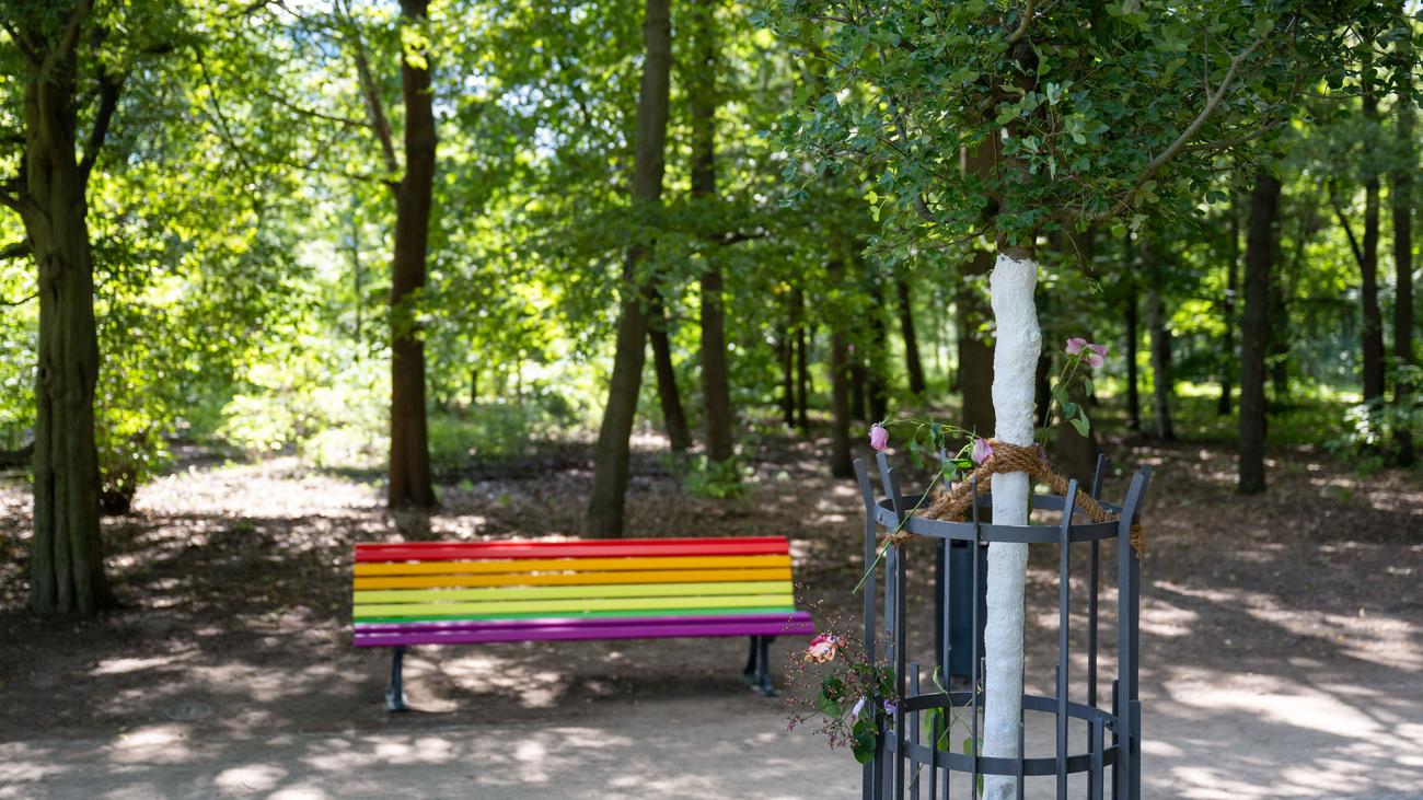 Anschlag auf CSD in Berlin: In Gedenken an CSD-Anschlag aufgestellte Regenbogenbank zerstört