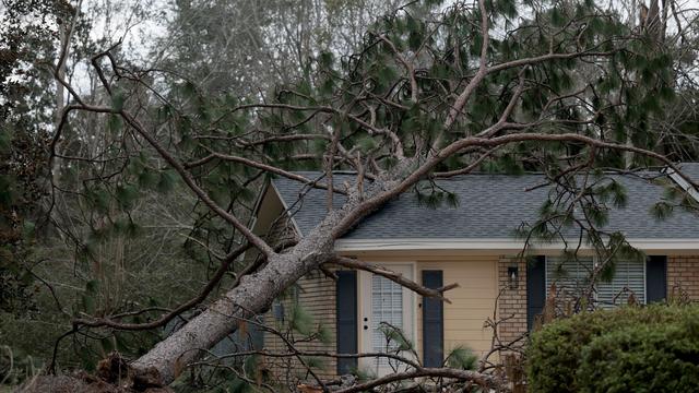 Sturm Isaias: Florida und Alabama melden vier Tote und Hunderttausende ohne Strom