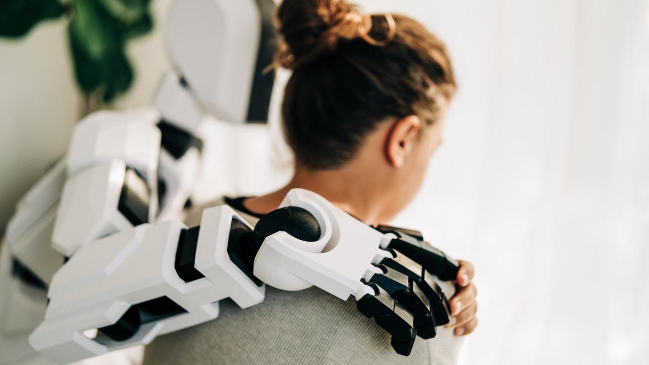 Roboter: Knecht und Gefährte