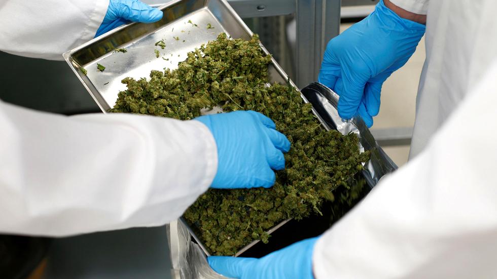 Bundesregierung Karl Lauterbach treibt Legalisierung von Cannabis voran ZEIT ONLINE