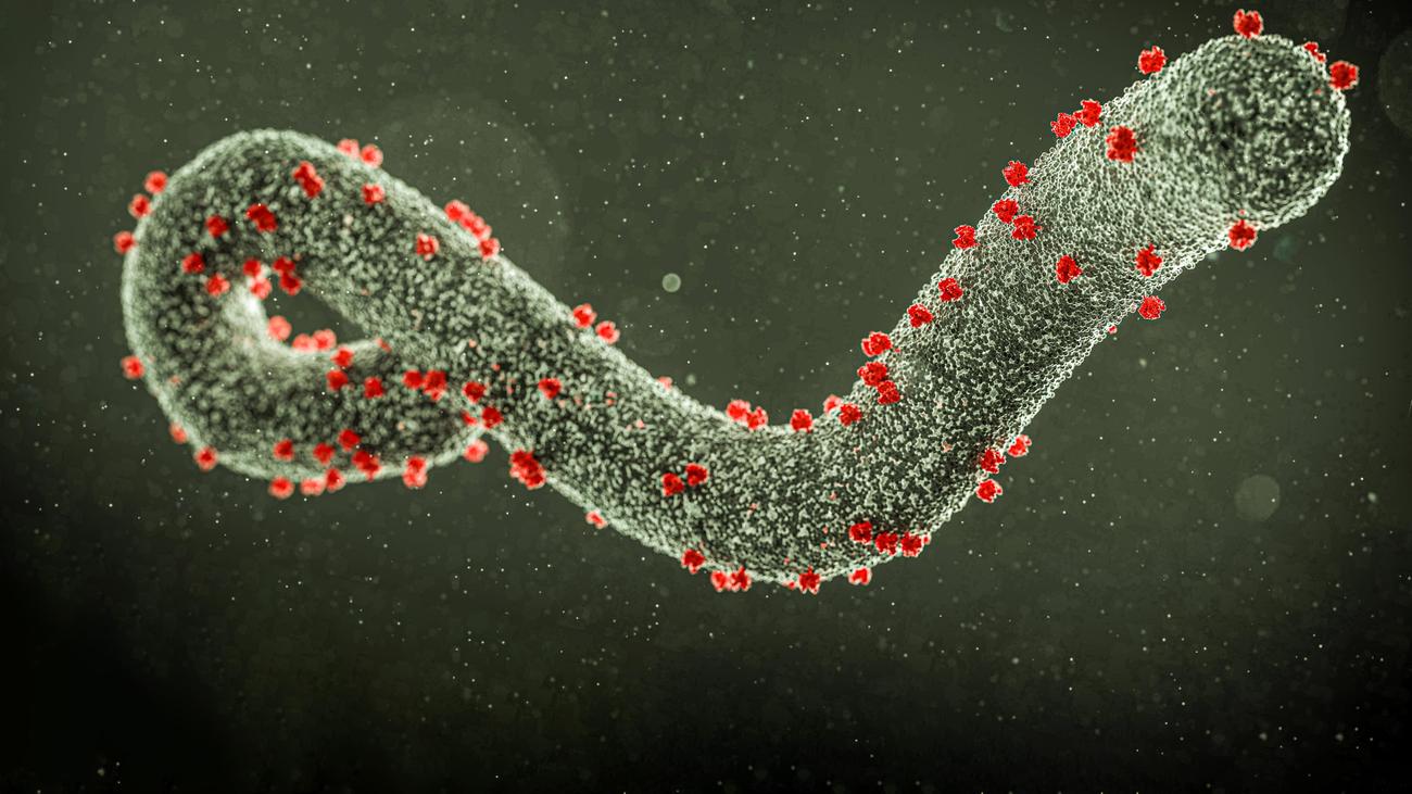 Symptome der Ebola Virus Erkrankung