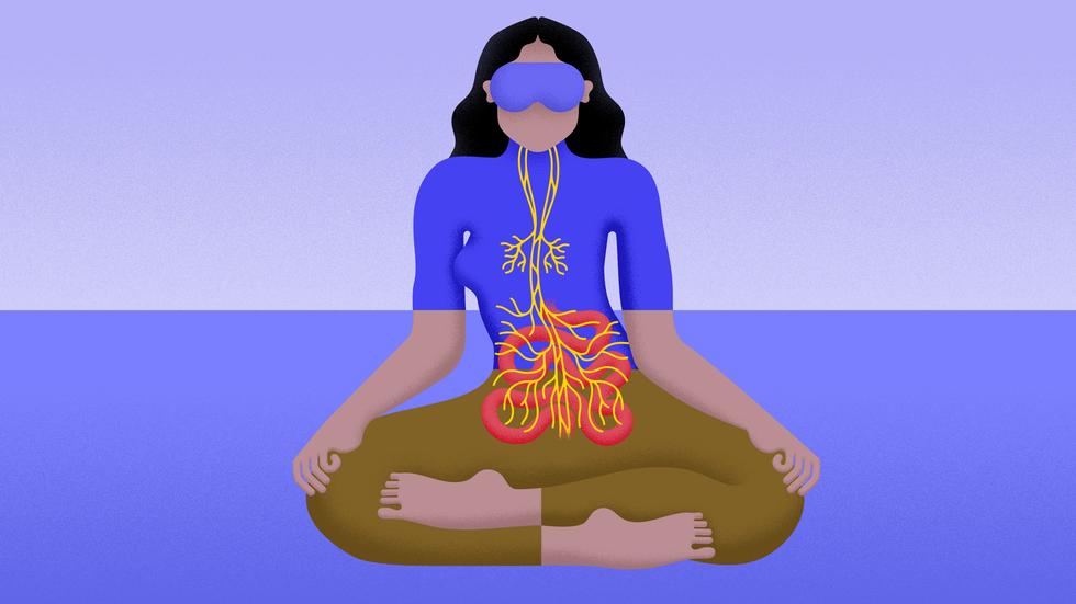 Nie Wieder Rheuma Schmerzen? Die Neuesten Erkenntnisse Zur Antientzündlicher Reflex: Vagusnerv Stimulation. - ii8u3un