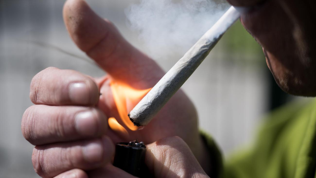 Cannabis: Experts see an increase in problematic cannabis use