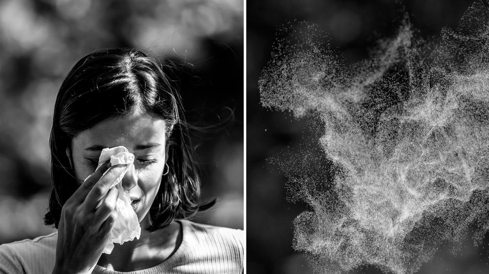 Heuschnupfen: Neue Pflanzenarten in Deutschland sogen für neue Allergiker.