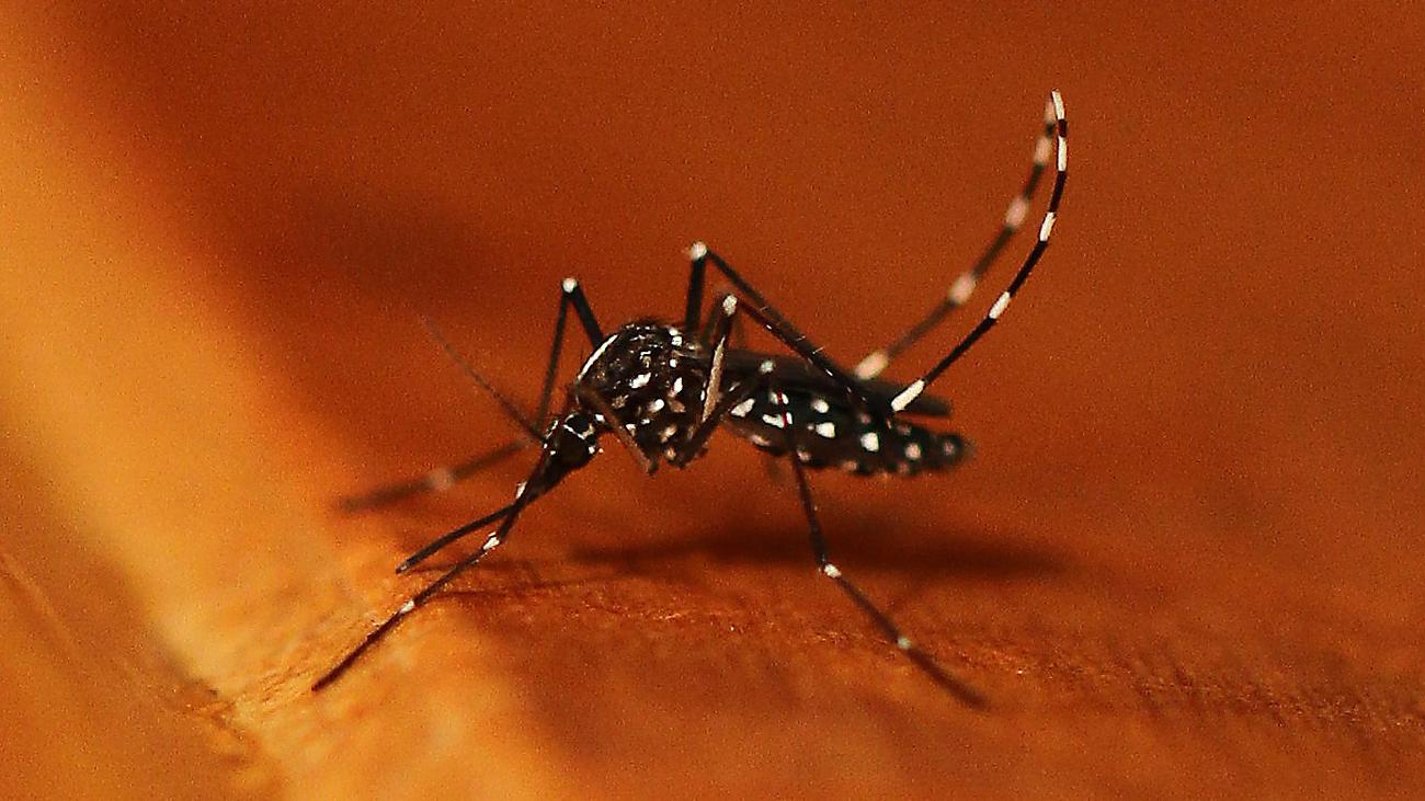 Dengue : l’OMS qualifie d’inquiétante l’augmentation des cas de dengue