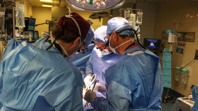 Massachusetts General Hospital: Erster Mensch mit transplantierter Schweineniere gestorben