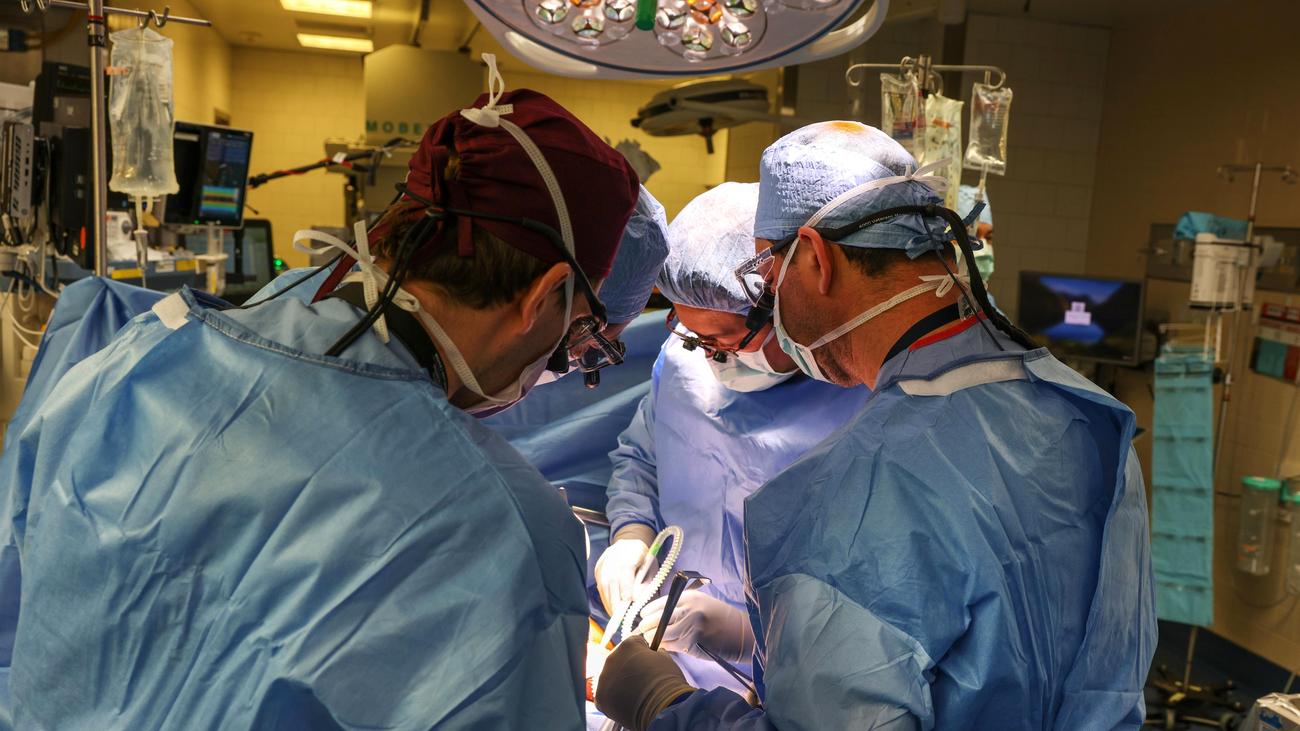 Massachusetts General Hospital: muore la prima persona a ricevere un trapianto di rene di maiale