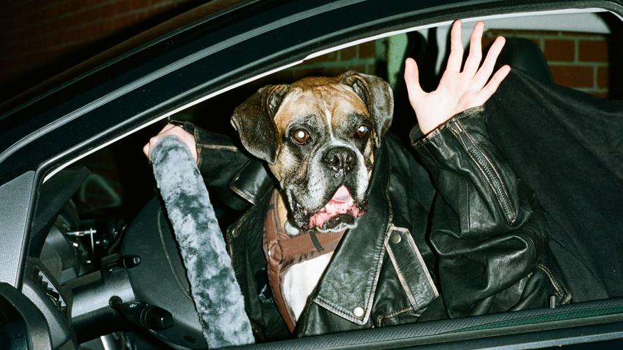 Impulskontrolle: A dog in a leather jacket sits in a car with a person waving beside it, against a brick wall in Berlin.