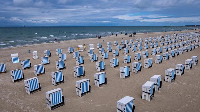 Vibrionen in der Ostsee: Was Sie über Vibrionen-Bakterien in der Ostsee wissen sollten