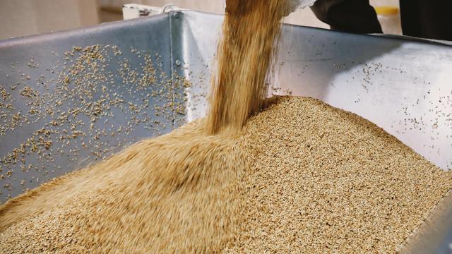 Bundesamt für Verbraucherschutz und Lebensmittelsicherheit: Bundesamt warnt vor Salmonellen in Sesamprodukten