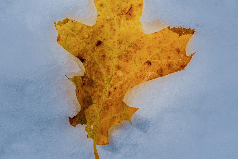 Effekte von Kälte: Draußen Minusgrade und plötzlich wird die Brust eng