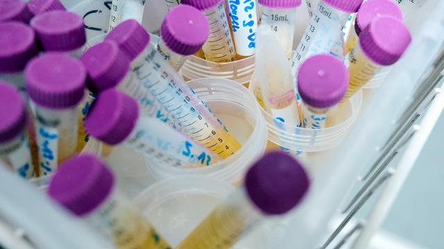 Umweltbundesamt: MnHexP-Schadstoff im Urin von Kindern und Jugendlichen nachgewiesen