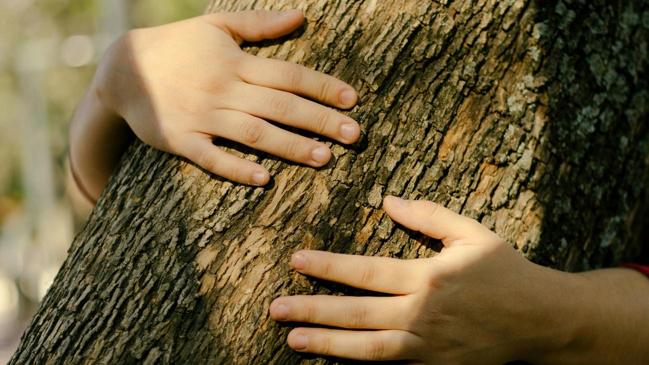 Waldbaden: Diese Keime sollten Sie einatmen
