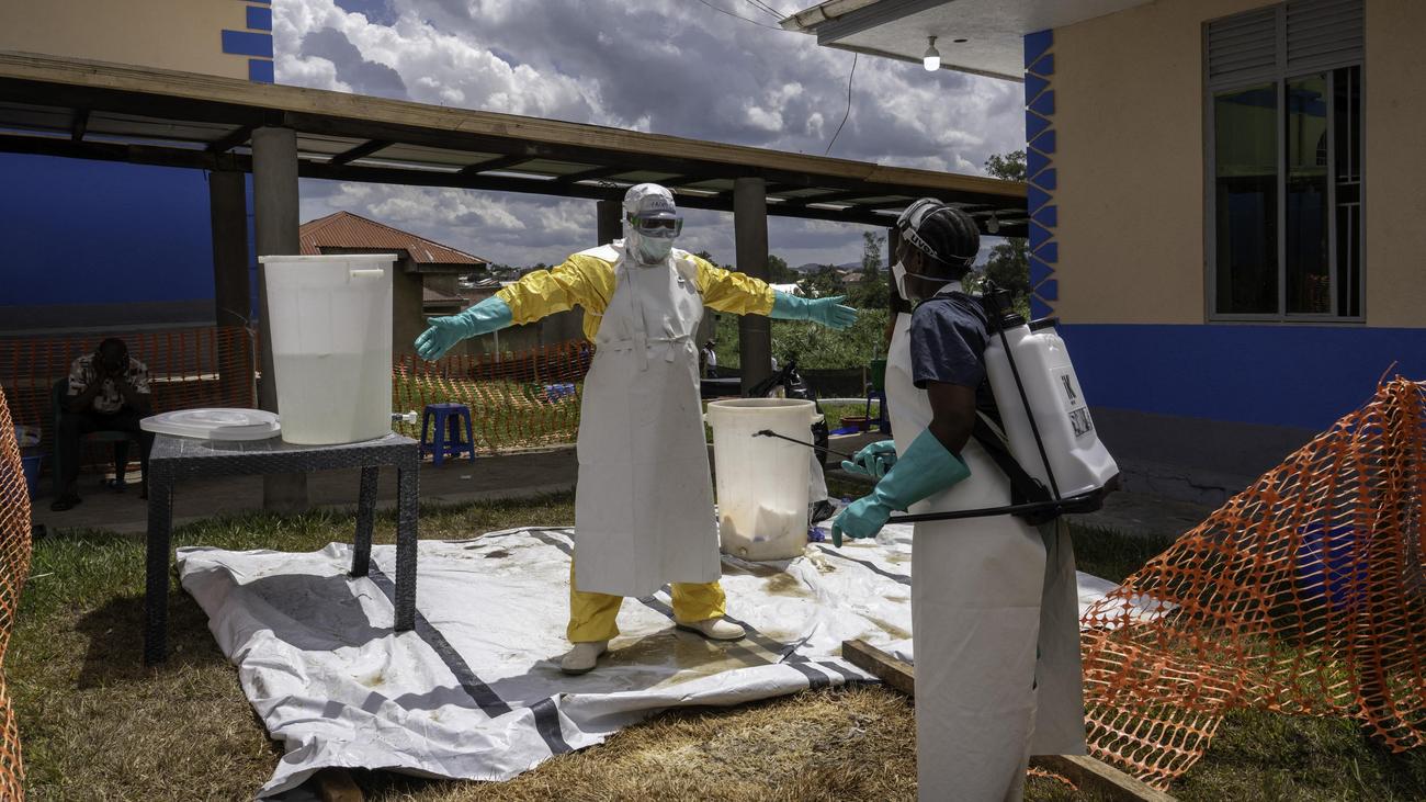 Ebolavirüs: Orta Afrika'da Ebola vaka sayısı 500'e yaklaştı
