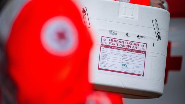 Organspende: Mehr Menschen spenden Organe für Transplantation