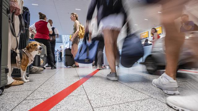 Malaria: Mitarbeiter des Frankfurter Flughafens stirbt nach Malaria-Infektion