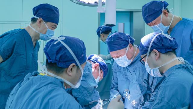 Bild: Xenotransplantation: Ärzte melden längste Überlebenszeit von transplantierter Schweineniere
