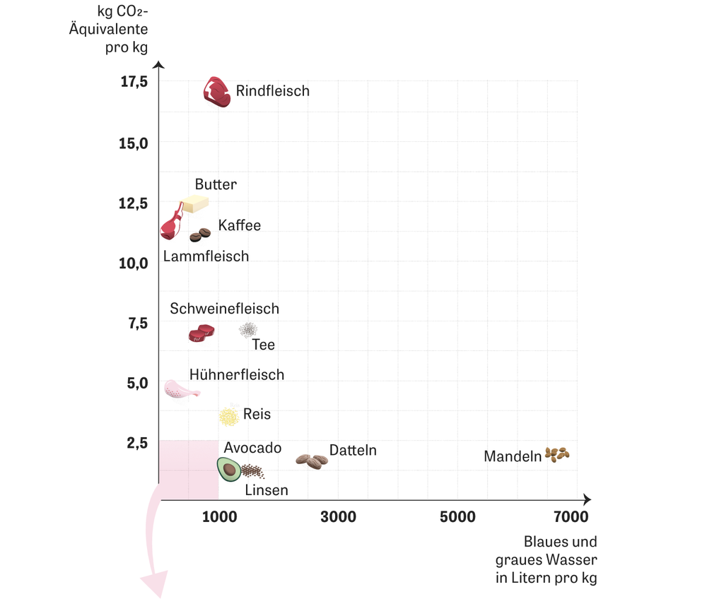 Klimabilanz von Lebensmitteln So nachhaltig ist mein Essen ZEIT ONLINE