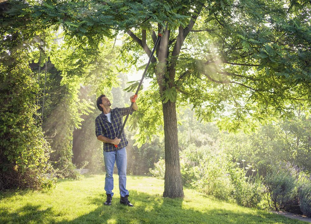 Nachhaltiges Gärtnern Der Gärtner muss Pflanzen töten ZEIT ONLINE