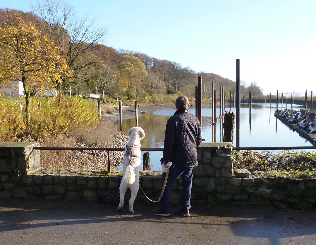 »Na, träumen Sie beide auch dem Sommer nach?« – »Er wohl eher den Enten.« 