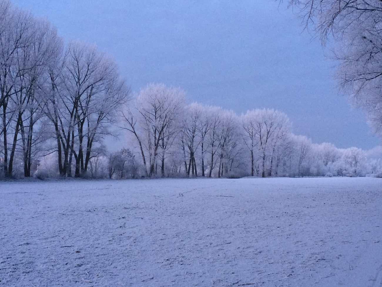 Morgenstimmung auf Entenwerder