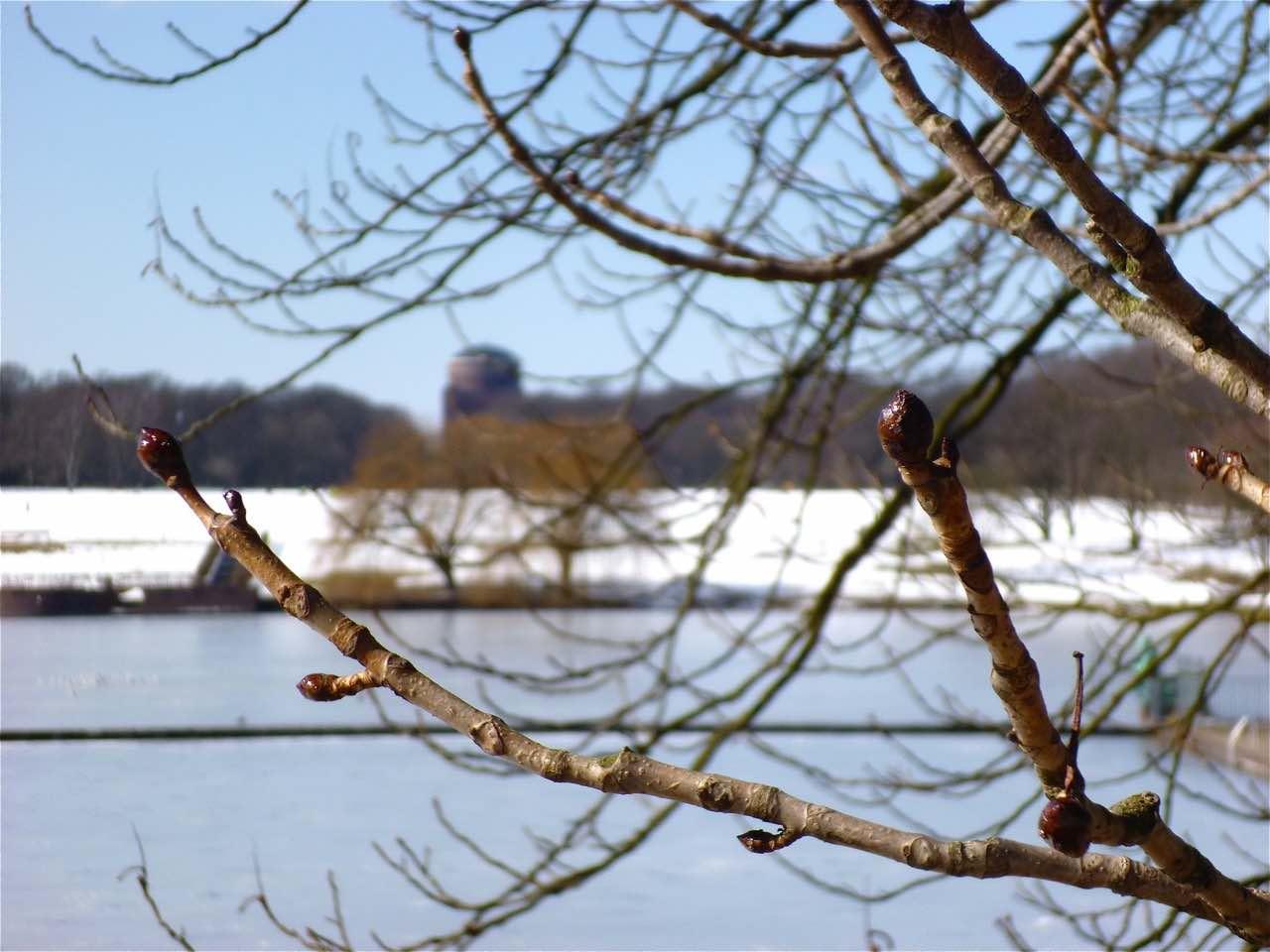 Frei nach Hermann Hesse: Und jedem Winter wohnt der Frühling inne 